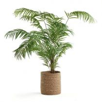 Umelá rastlina: Palma Areca , 1800 mm, vrátane kvetináča